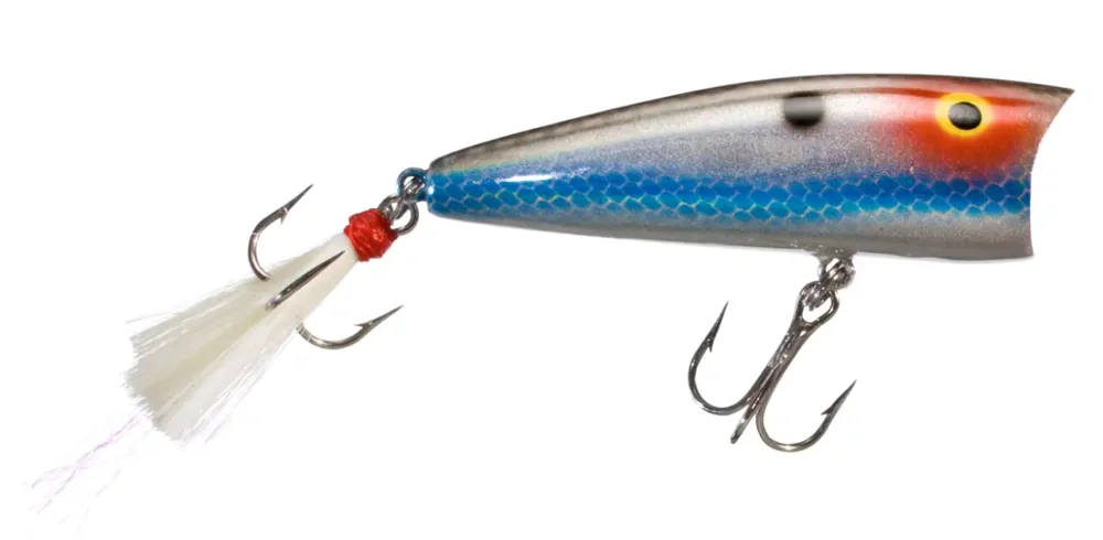 Rebel Pop-R Plus Topwater Bait - 1/4 oz. 2.5" Silver Shad