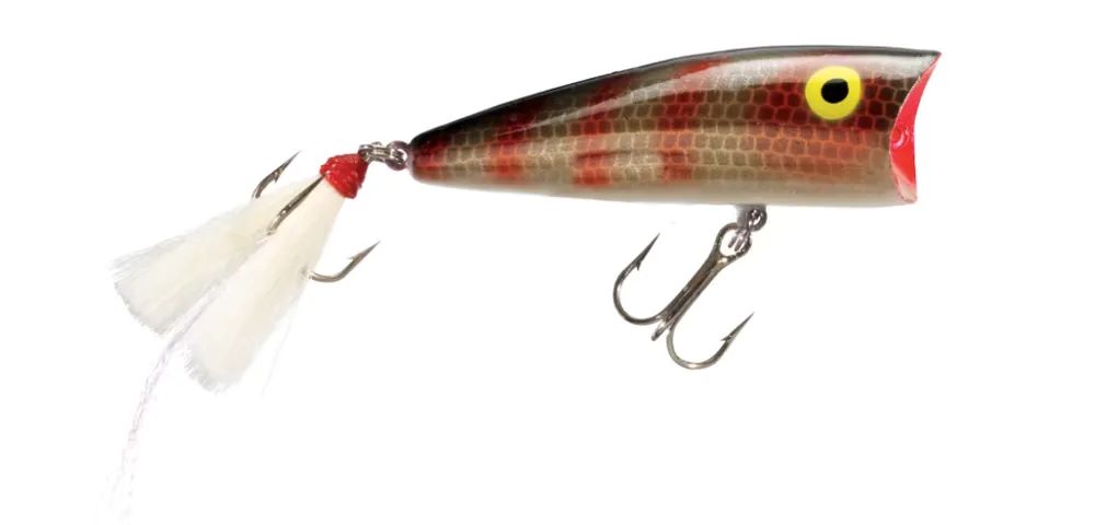 Rebel Pop-R Plus Topwater Bait - 1/4 oz. 2.5" Green Perch