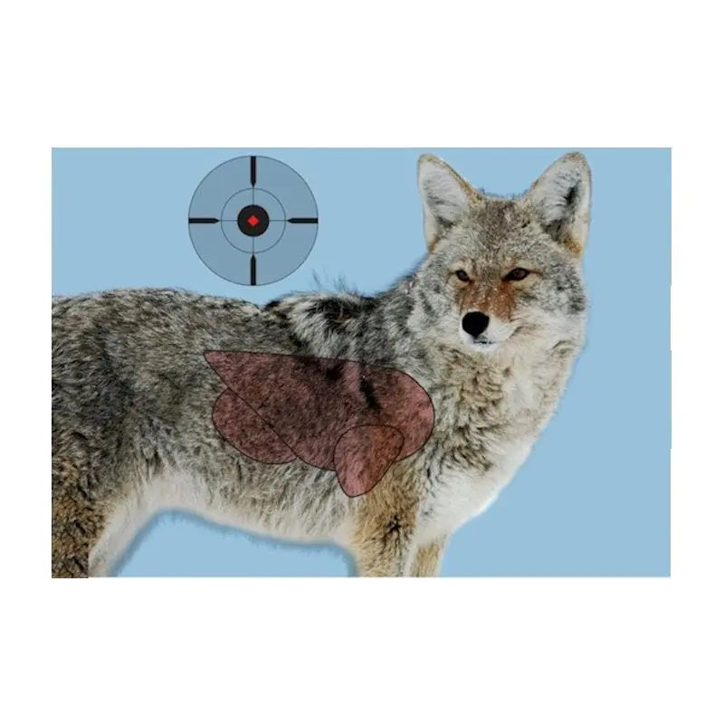 Birchwood Casey Pregame Coyote Targets 16.5 x 24"