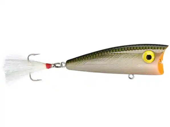 Rebel Pop-R Magnum Topwater Bait - 1/2 oz. 3" Tennessee Shad