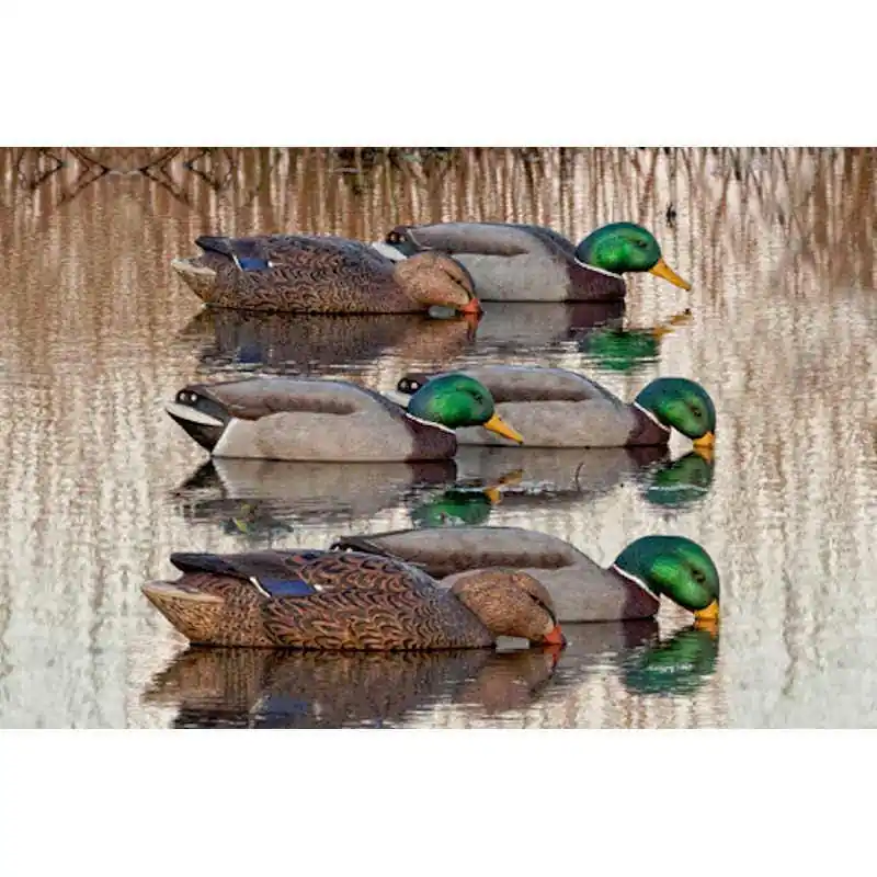 Avian-X Back Water Mallard Floaters