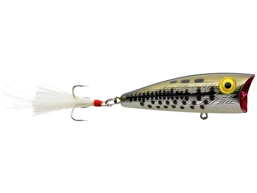 Rebel Teeny Pop-R Topwater Bait - 1/8 oz. 2" Ol Bass