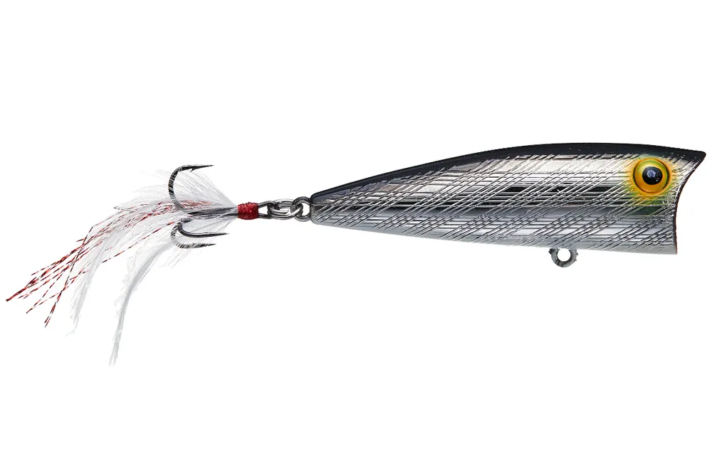 Rebel Teeny Pop-R Topwater Bait - 1/8 oz. 2" Silver/Black