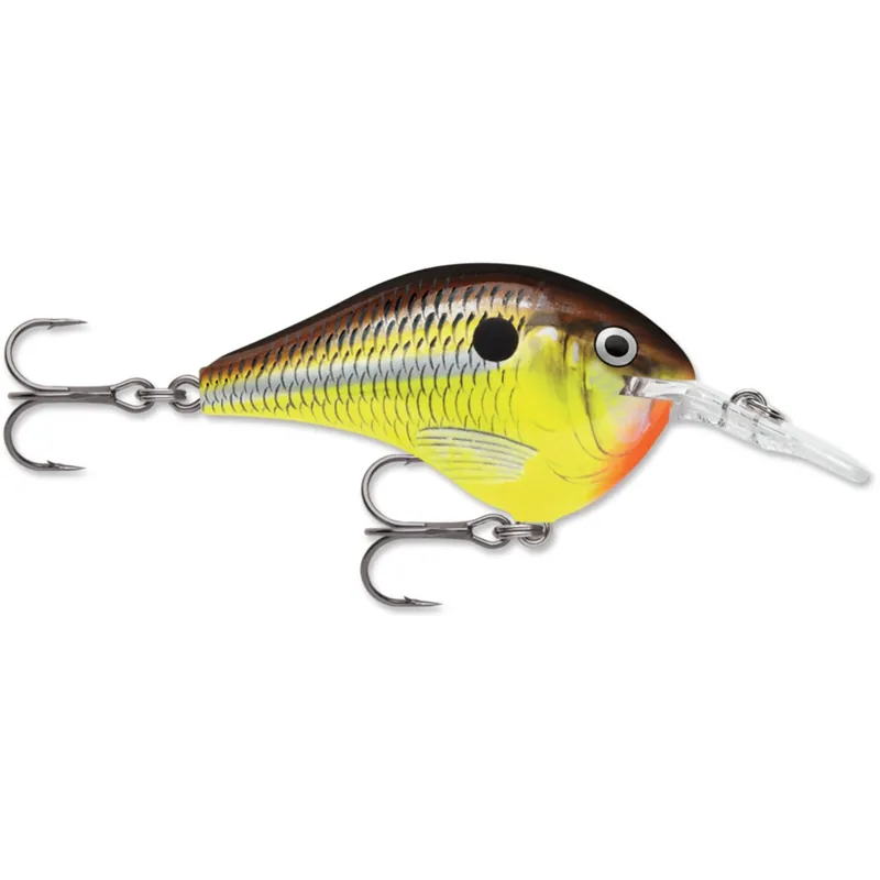 Rapala DT 6 Crankbait - 3/8 oz. Hot Mustard