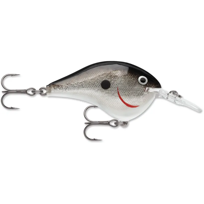Rapala DT 6 Crankbait - 3/8 oz. Silver