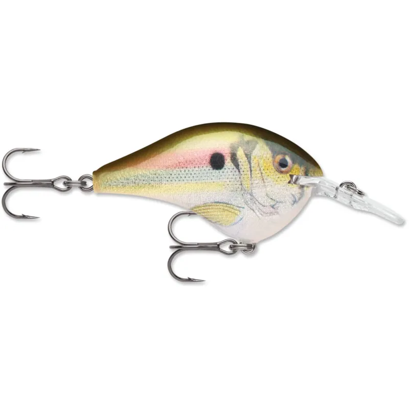 Rapala DT 6 Crankbait - 3/8 oz. Live River Shad