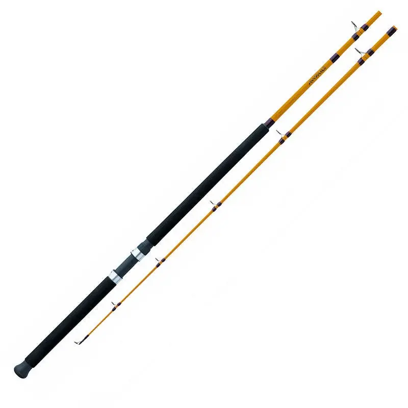 Daiwa FT Boat Casting Rod