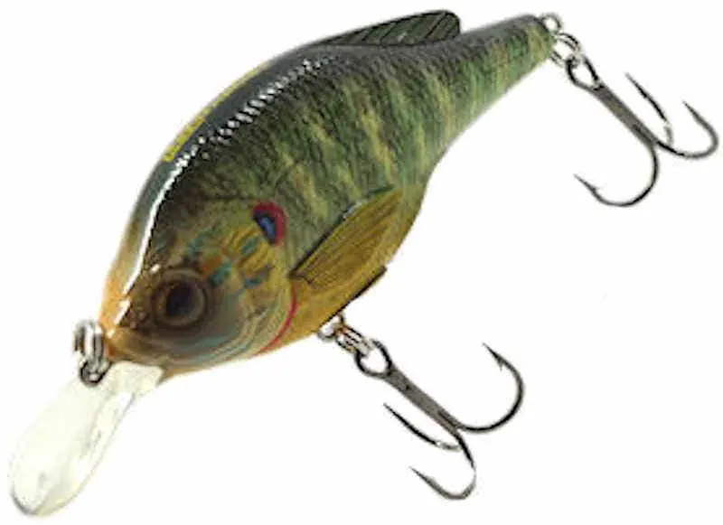 LIVETARGET Pumpkinseed Medium Dive Crankbait 2-3/4 - 1/2 oz"