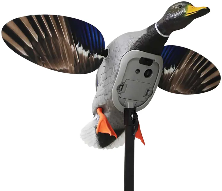 Mojo Outdoors MOJO Mallard Elite Mallards Species Multi Color Plastic