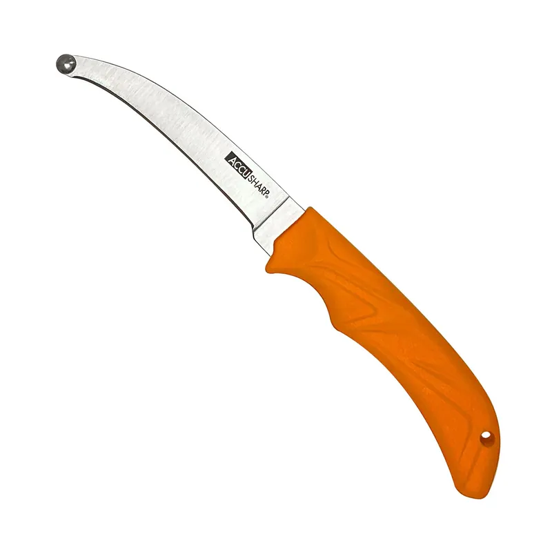 AccuSharp AccuZip 4" Fixed Plain Stainless Steel/ Blade Blaze Orange Ergonomic Anti-Slip Rubber Handle