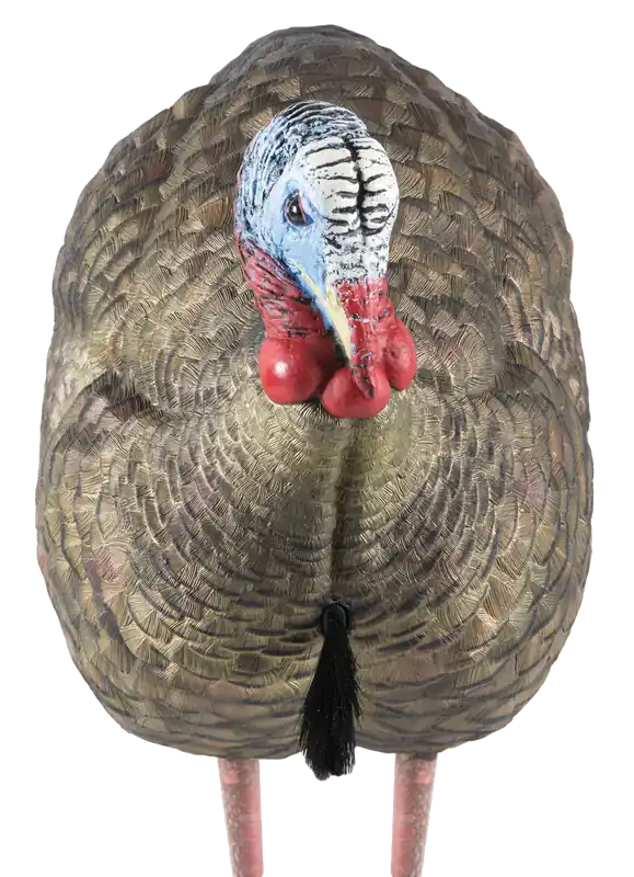 Avian LCD Half-Strut Jake Turkey Species Multi Color