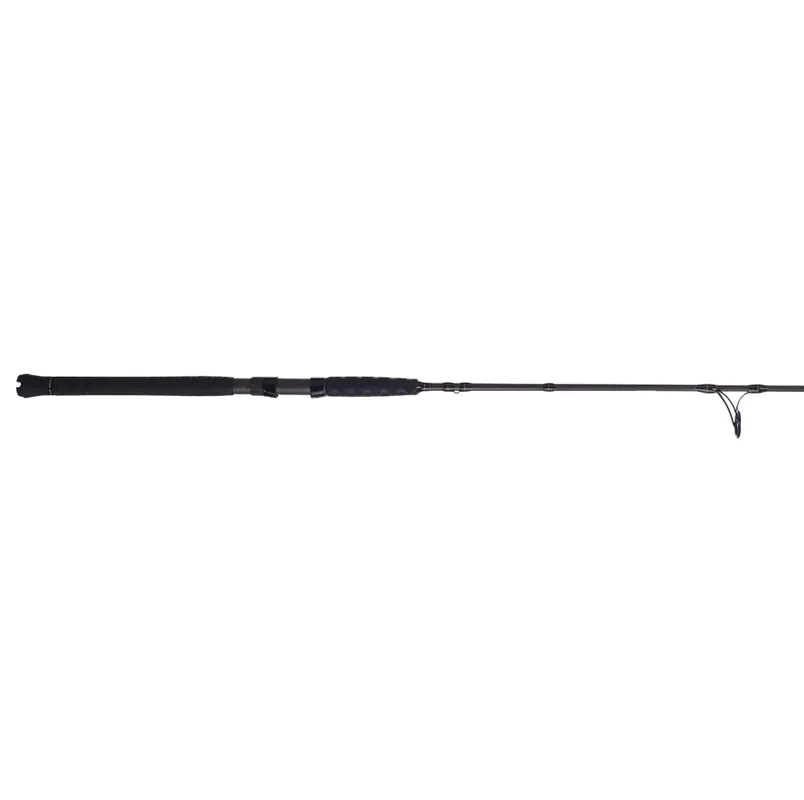 Penn Battalion II Inshore Casting Rod
