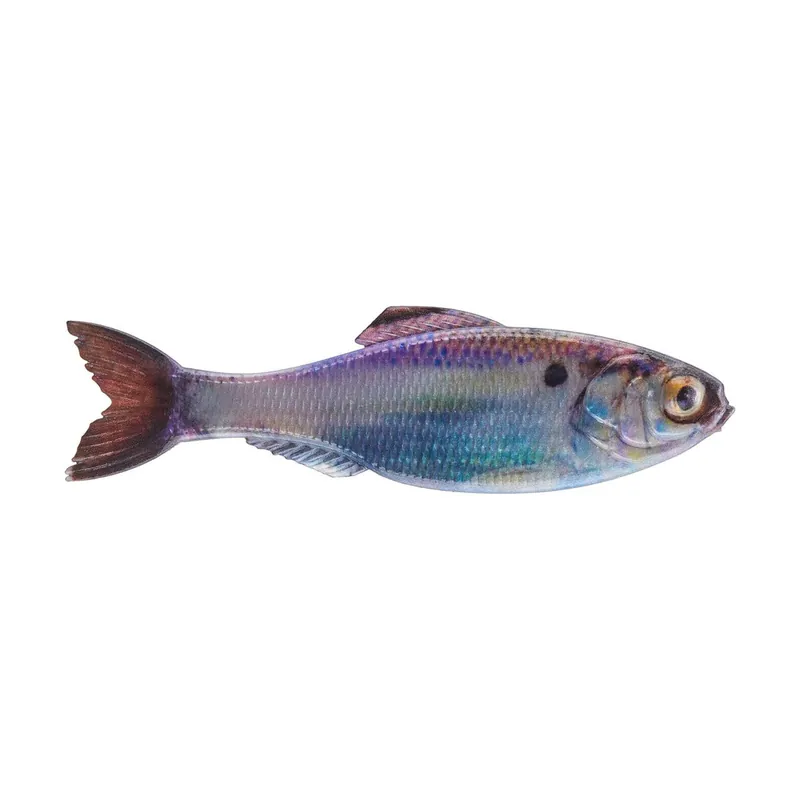 6th Sense Panorama 2.8" Live Gizzard Shad PANO50-LGZ