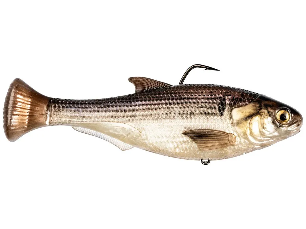 Z-Man Shadtron Lt Slow Sink Swimbait - 6" Gizzard Shad