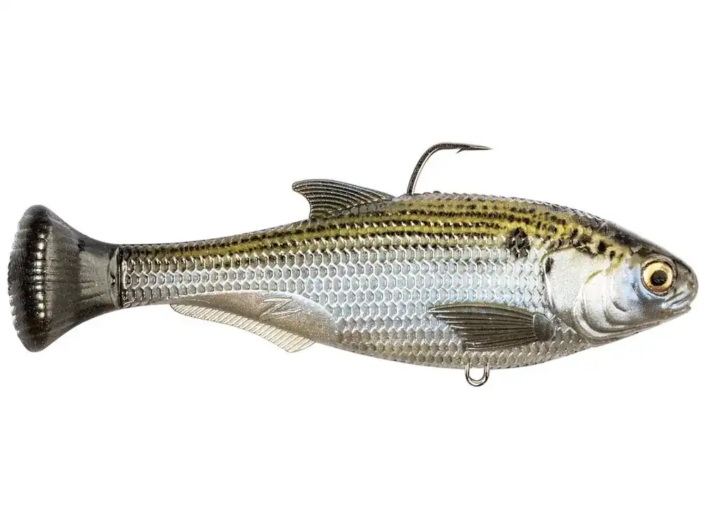 Z-Man Shadtron Lt Slow Sink Swimbait - 6" Mossback