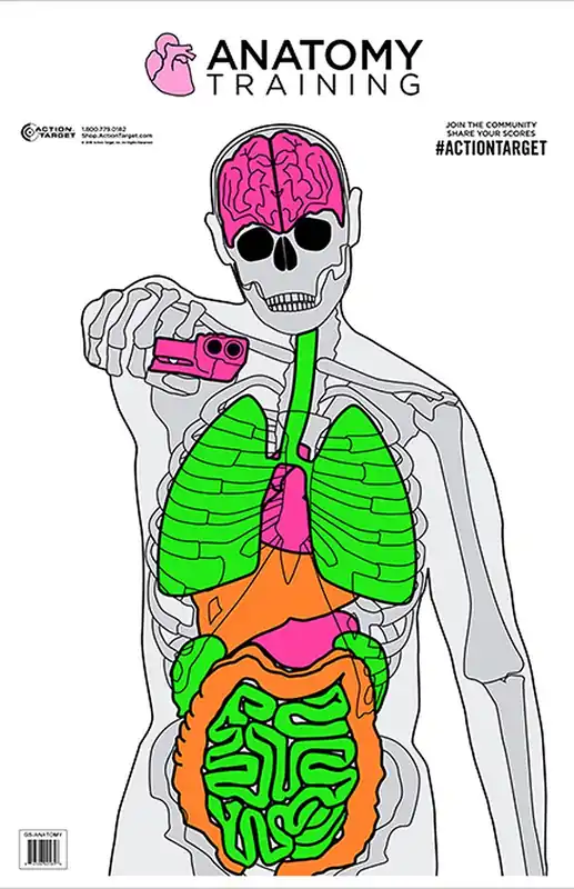 Action Target Anatomy Training Silhouette/Vitals Paper Target 23" x 35" 100 Per Box