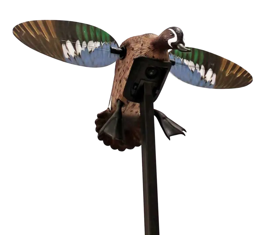 Mojo Outdoors Elite Series Blue Wing Teal Duck Species