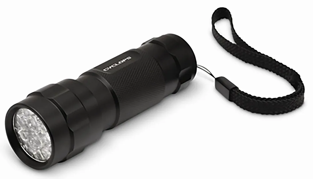 Cyclops FL14 Black Anodized Aluminum White 80 Lumens 14 LED