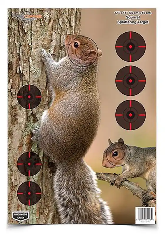 Birchwood Casey Pregame Squirrel Paper Hanging Rifle 12" x 18" Impact Enhancement Yes 8 Per Pkg