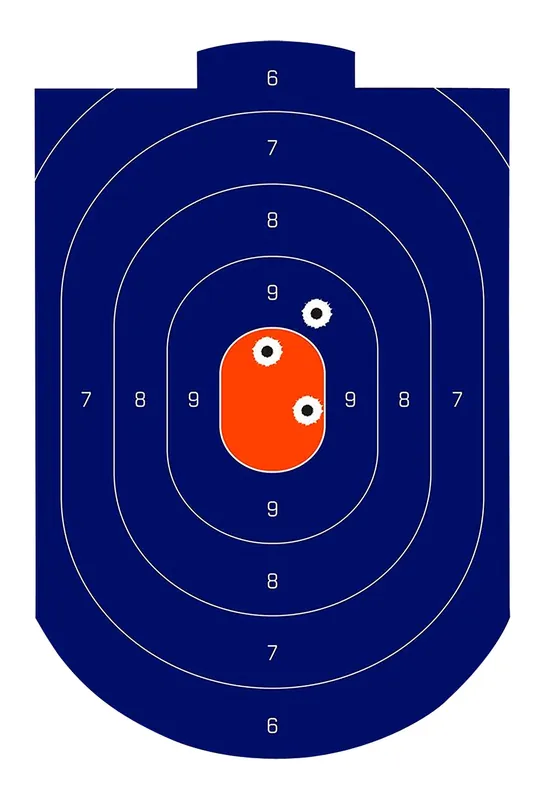 Birchwood Casey Dirty Bird Silhouette Target Silhouette Tagboard Target 12" x 18" 100 Per Pkg
