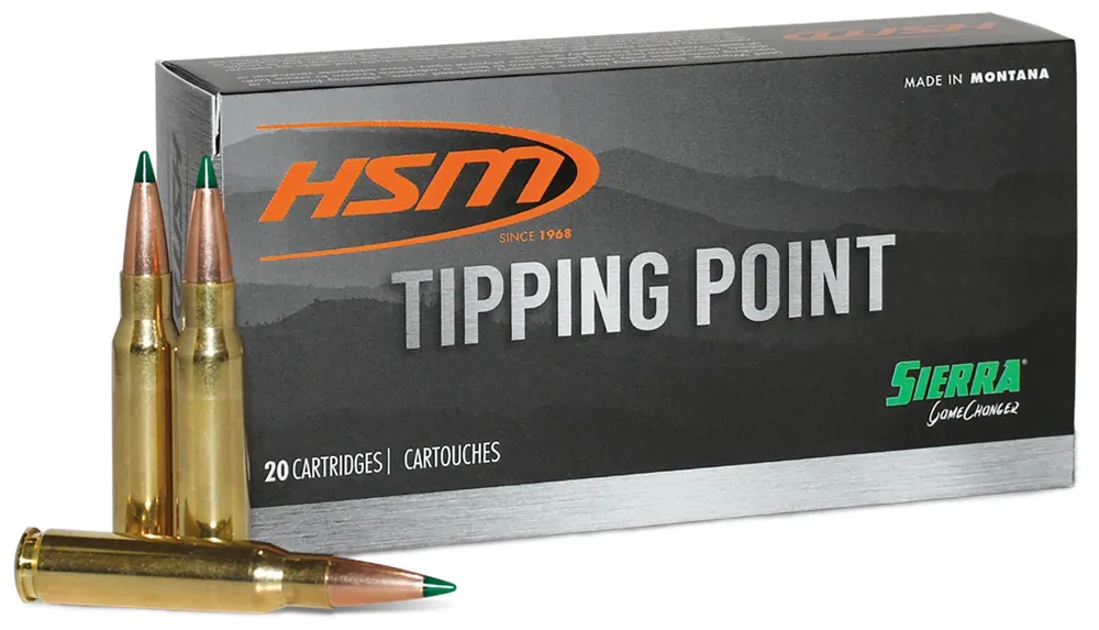 HSM Tipping Point Super Shock Tip 6mm ARC 95 Gr. 20/Box