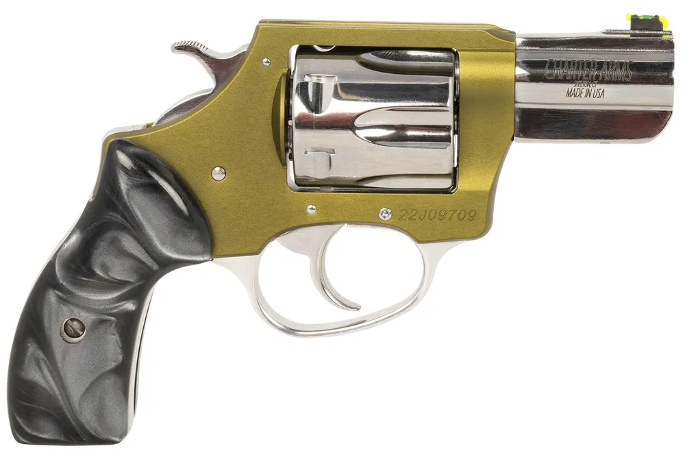 Charter Arms Undercover II Large 38 Special, 6 Shot 2.20" High Polished Stainless Steel Barrel & Cylinder