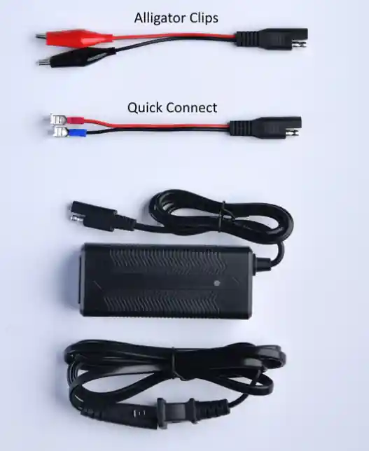 Amped Outdoors 3A LiFePO4 Lithium Battery Charger