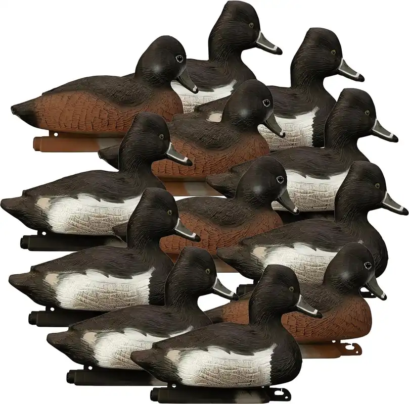 Higdon Outdoors Standard Ringneck Decoys