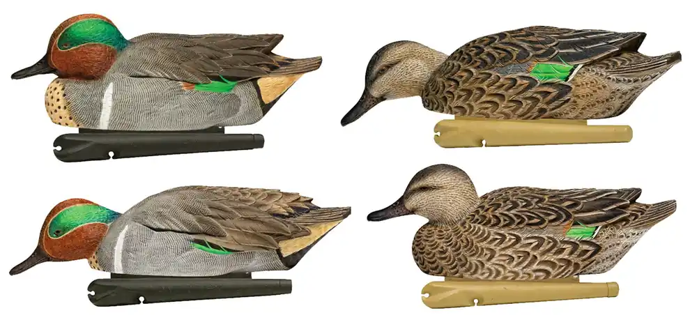 Avian X Topflight Teal Species