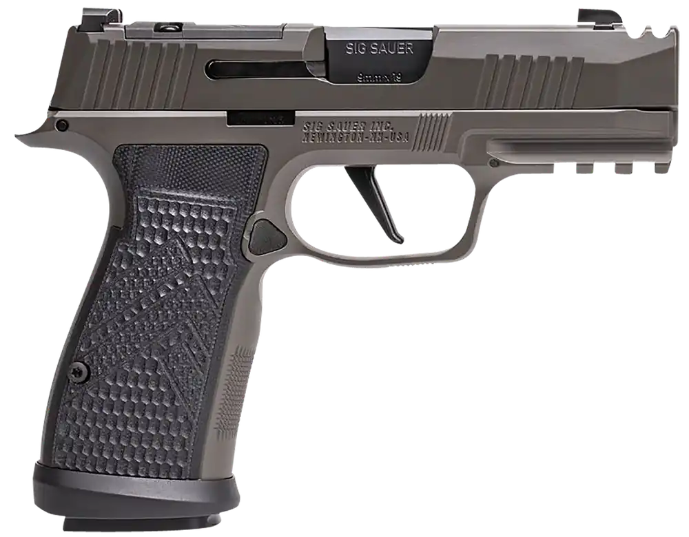 Sig Sauer P365 AXG Legion 9mm Pistol 17+1 3.1" Steel Barrel SS Optic Cut Slide Night Sights Compact SS Frame Gry 365AXGCA9LEGION