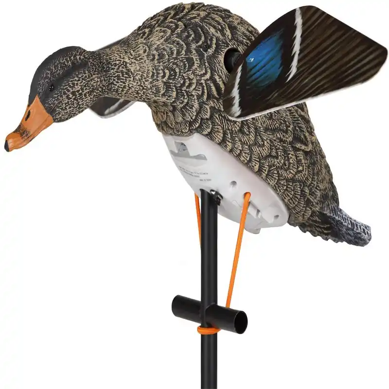 Lucky Duck Lucky HD Hen Decoy