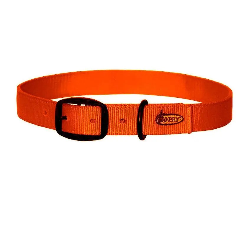 Avery Sporting Dog Standard Collar