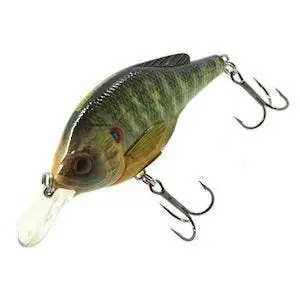 LIVETARGET Pumpkinseed Shallow Dive Crankbait 2-3/4 - 1/2 oz"