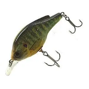 LIVETARGET Pumpkinseed Shallow Dive Crankbait 2-1/4 - 1/4 oz"