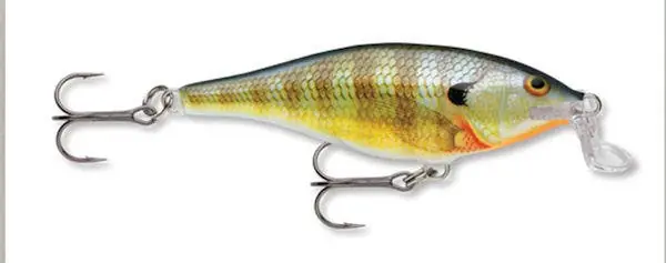 Rapala Shallow Shad Rap 07