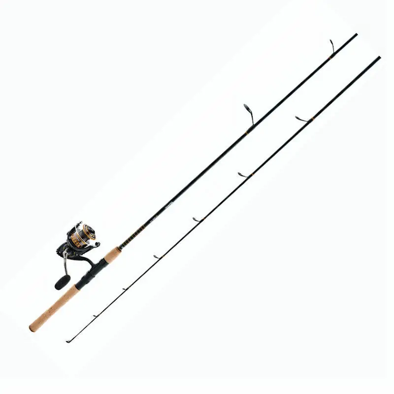 Daiwa BG Spinning Reel