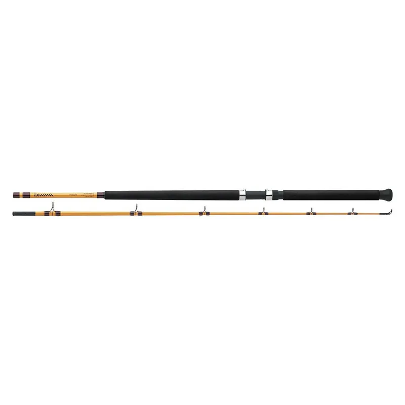 Daiwa FT Boat Spinning Rod