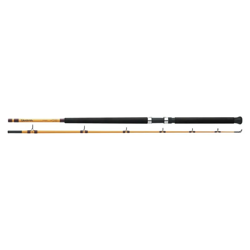 Daiwa FT Boat Conventional Rod