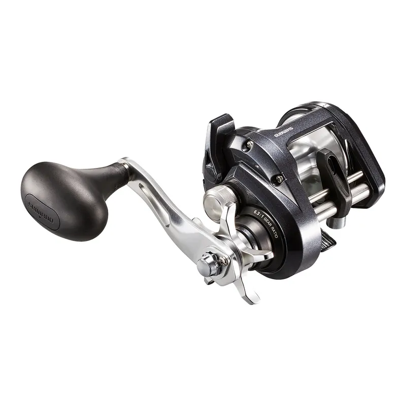 Shimano Tekota A Conventional Saltwater Reel